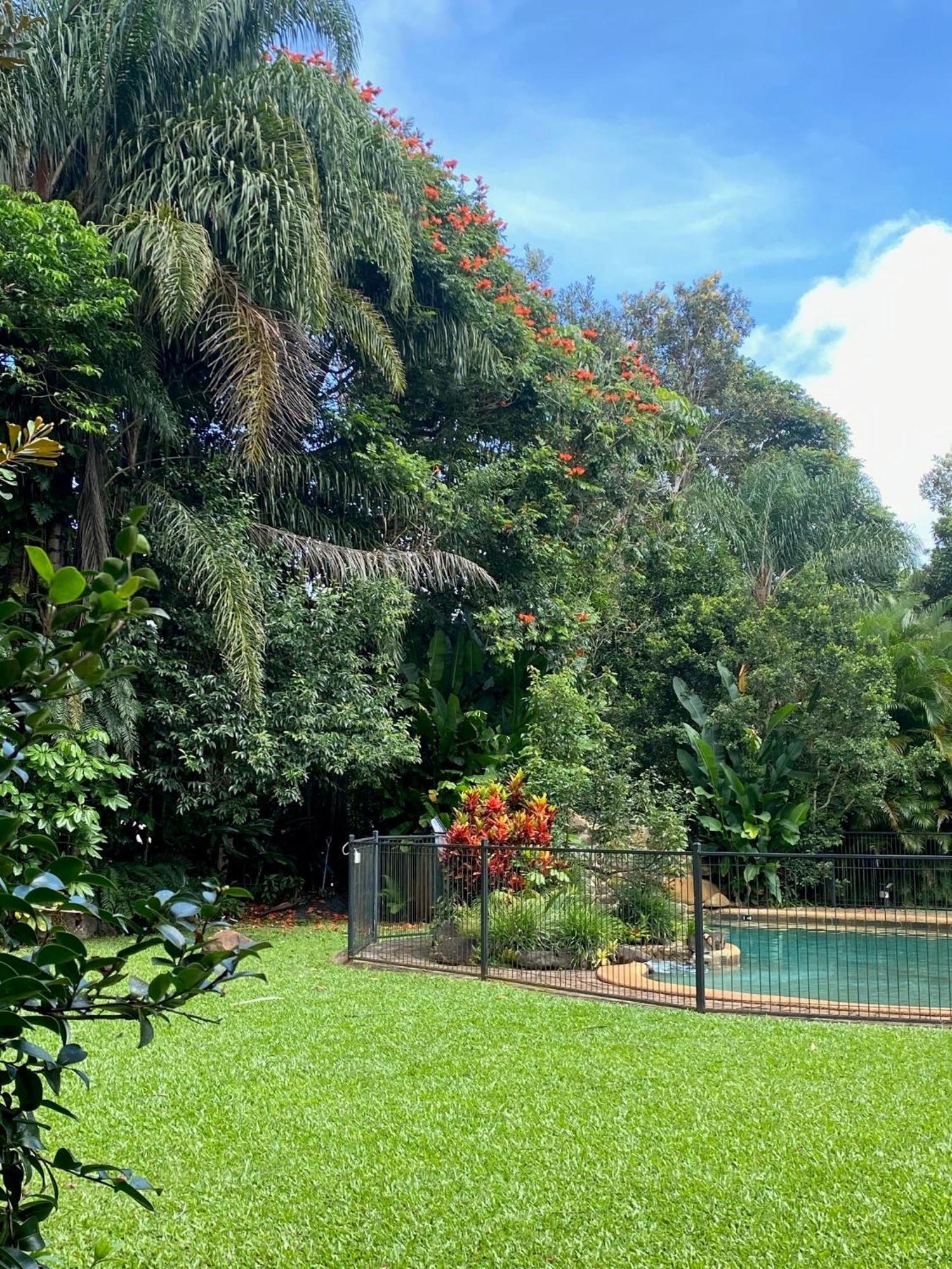 Malanda Lodge Kültér fotó